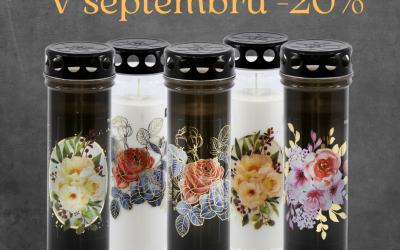IZDELEK MESECA SEPTEMBRA Z 20% POPUSTOM